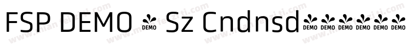 FSP DEMO - Sz Cndnsd字体转换